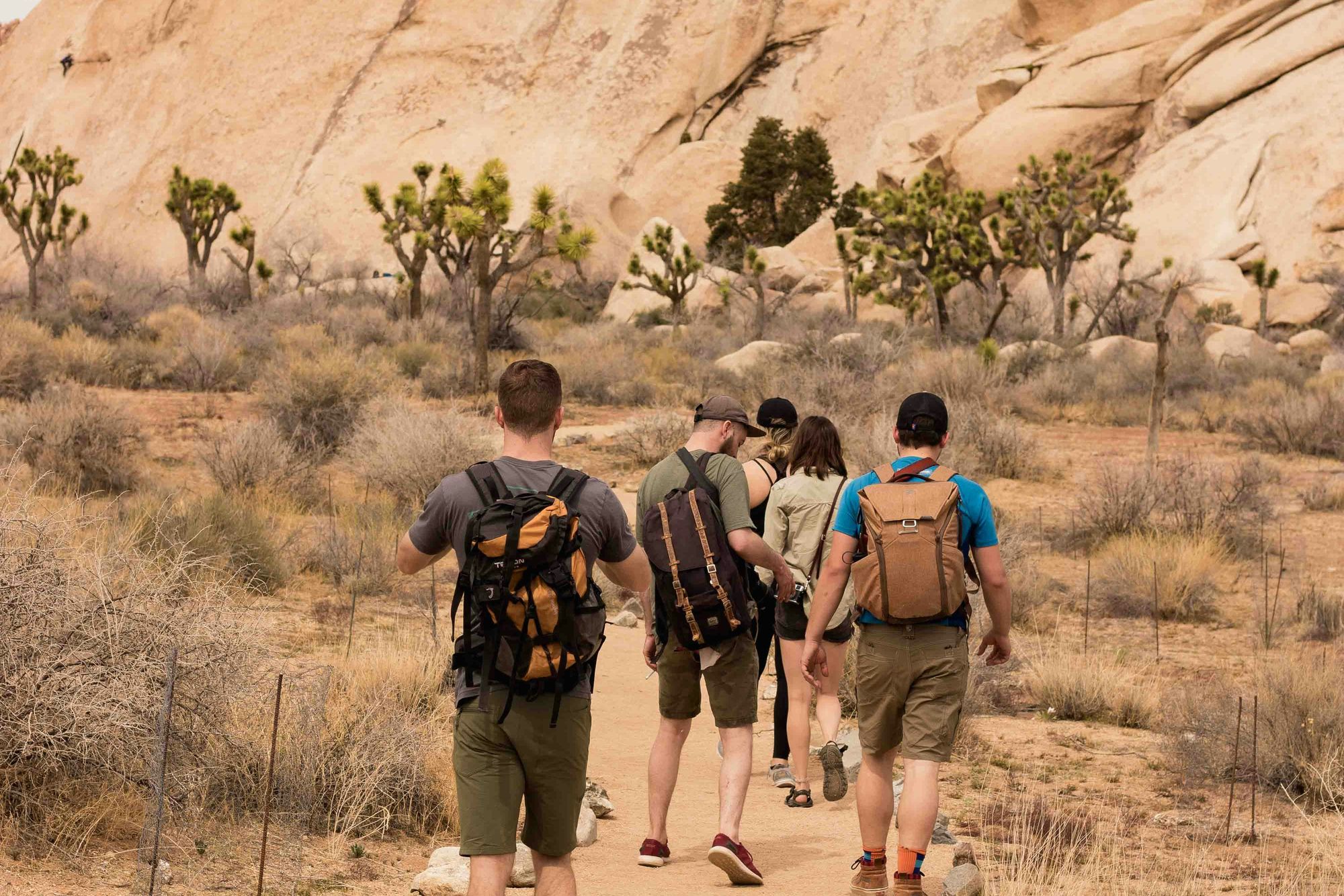 A small group of friends with backpacks hiking together along a desert trail toward large rock formations