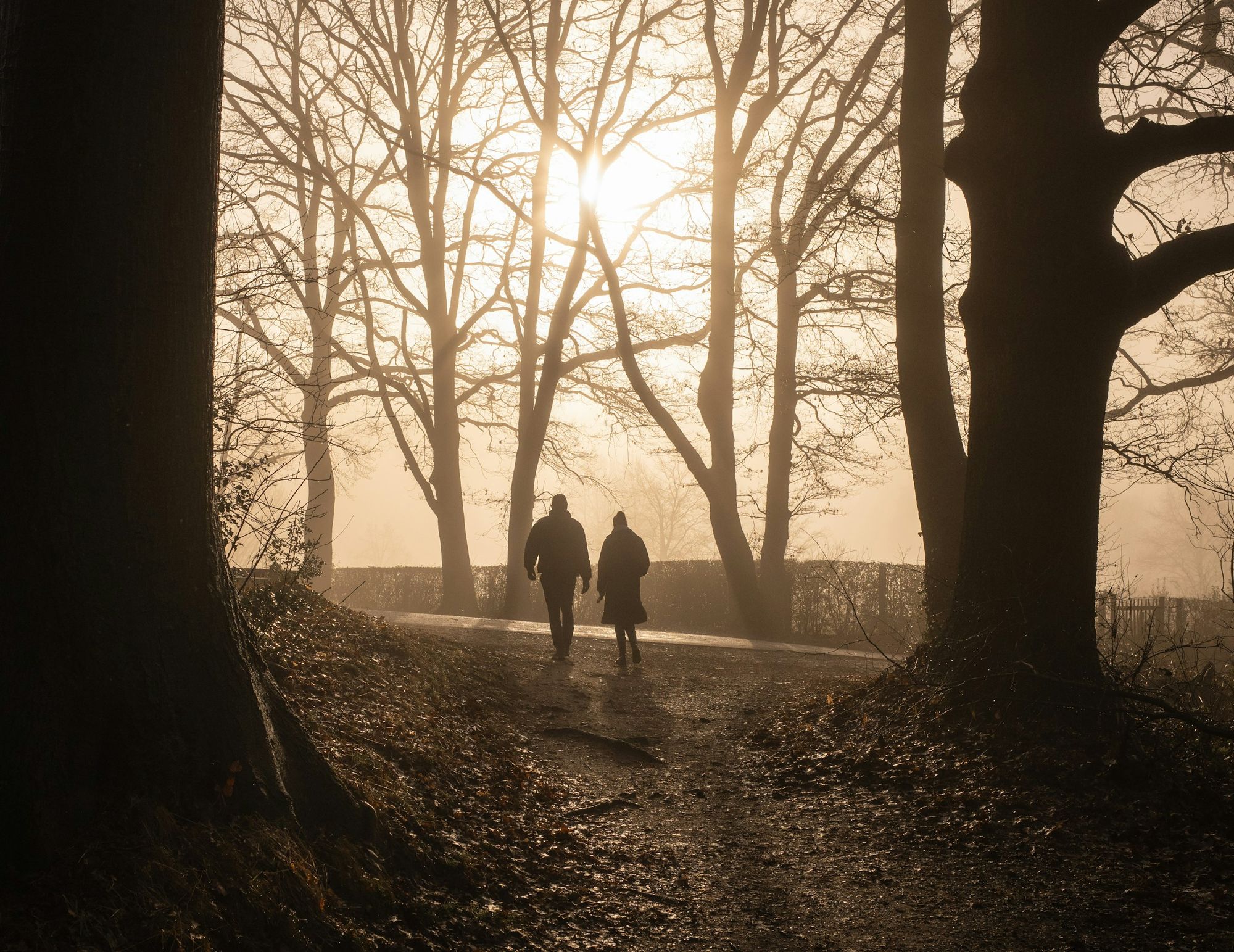 Two people walking together on a narrow path through bare trees in morning light